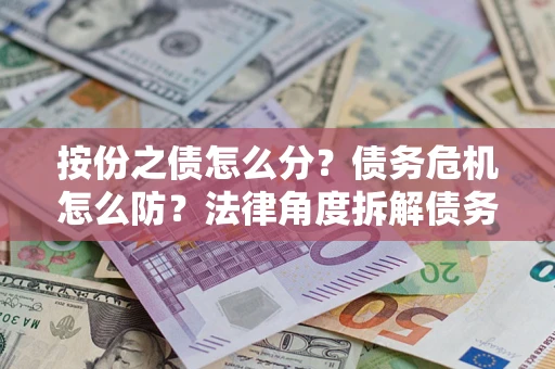 武汉按份之债怎么分？债务危机怎么防？法律角度拆解债务分配与风险自保指南