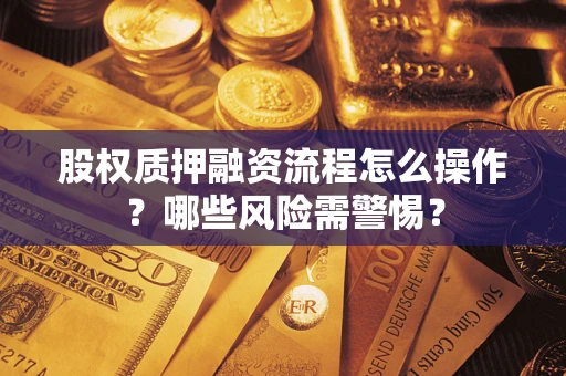 武汉股权质押融资流程怎么操作？哪些风险需警惕？