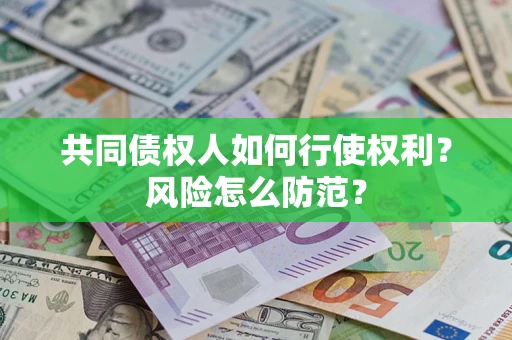 武汉共同债权人如何行使权利？风险怎么防范？