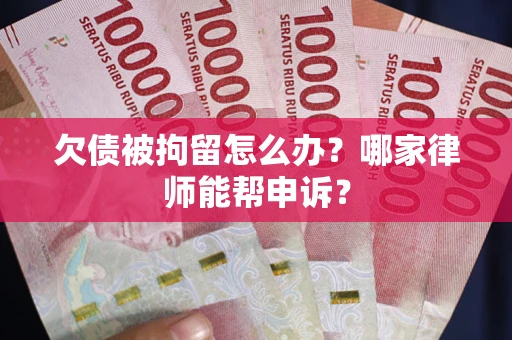 武汉欠债被拘留怎么办？哪家律师能帮申诉？