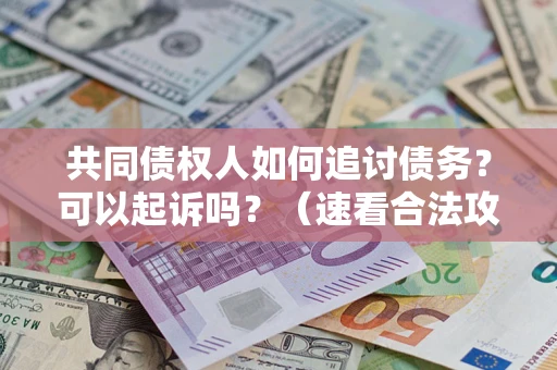 武汉共同债权人如何追讨债务？可以起诉吗？（速看合法攻略）
