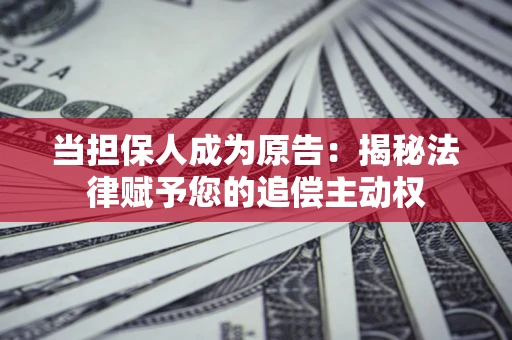 武汉当担保人成为原告：揭秘法律赋予您的追偿主动权